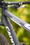 Cannondale Tramount Detail 3
