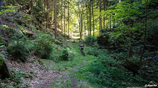 1905528-jzzokesn4wmk-2015_9_27_krippenschneebergdecinknigsteinradtour_18-medium.jpg